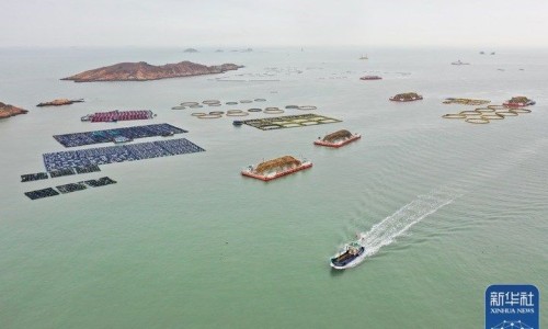 新鲜白合怎么做才好吃又简单-【新鲜白合怎么吃制作方法】新鲜白合怎么做才好吃又简单 - 新鲜白合的功效与作用及禁忌网