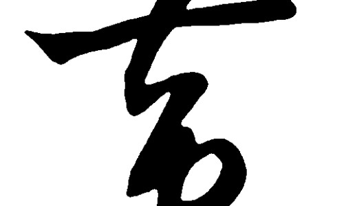 新鲜白合的功效与作用及禁忌是什么-【新鲜白合怎么吃制作方法】新鲜白合怎么做才好吃又简单 - 新鲜白合的功效与作用及禁忌网