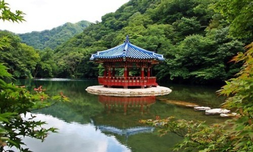 鲜白合的正确吃法与功效-【新鲜白合怎么吃制作方法】新鲜白合怎么做才好吃又简单 - 新鲜白合的功效与作用及禁忌网